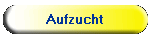 Aufzucht